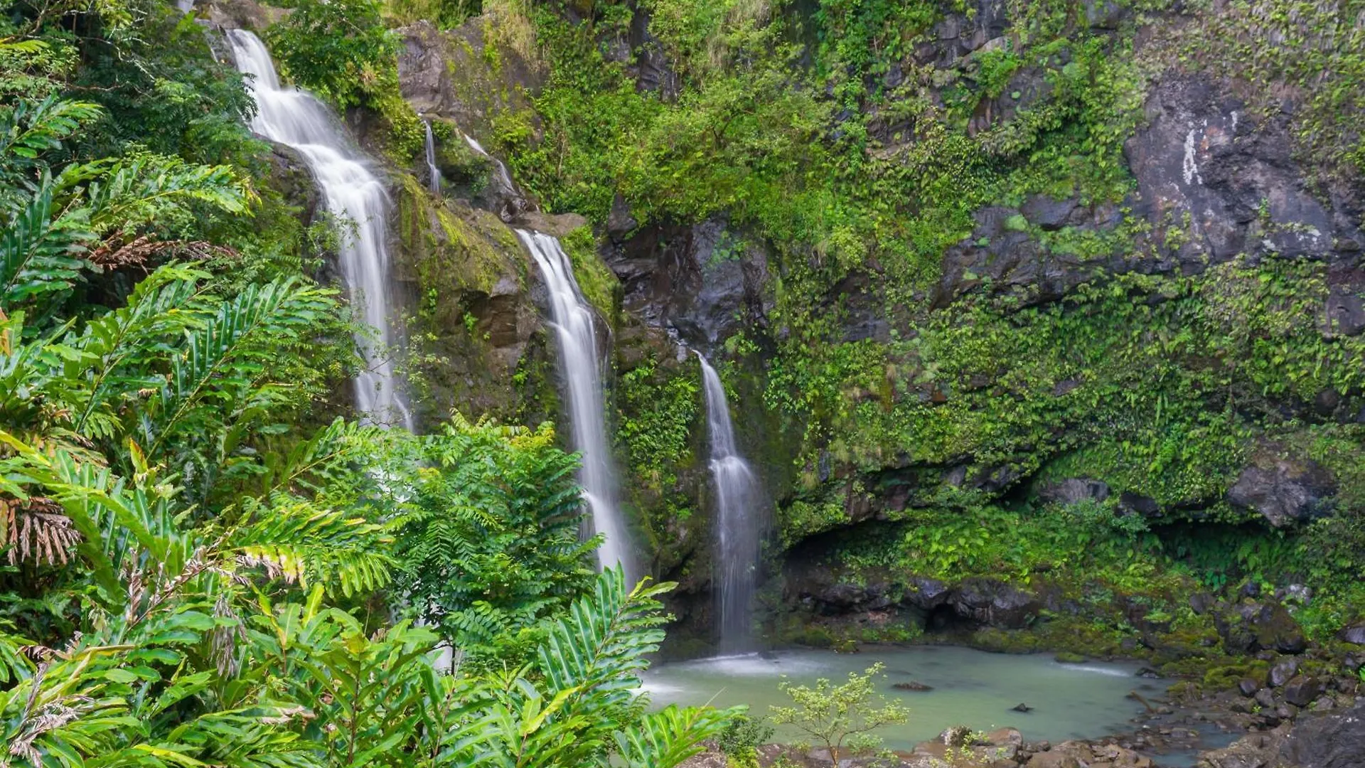 Сasa de vacaciones Kapalua Golf Villas 15T5 Kahana Estados Unidos